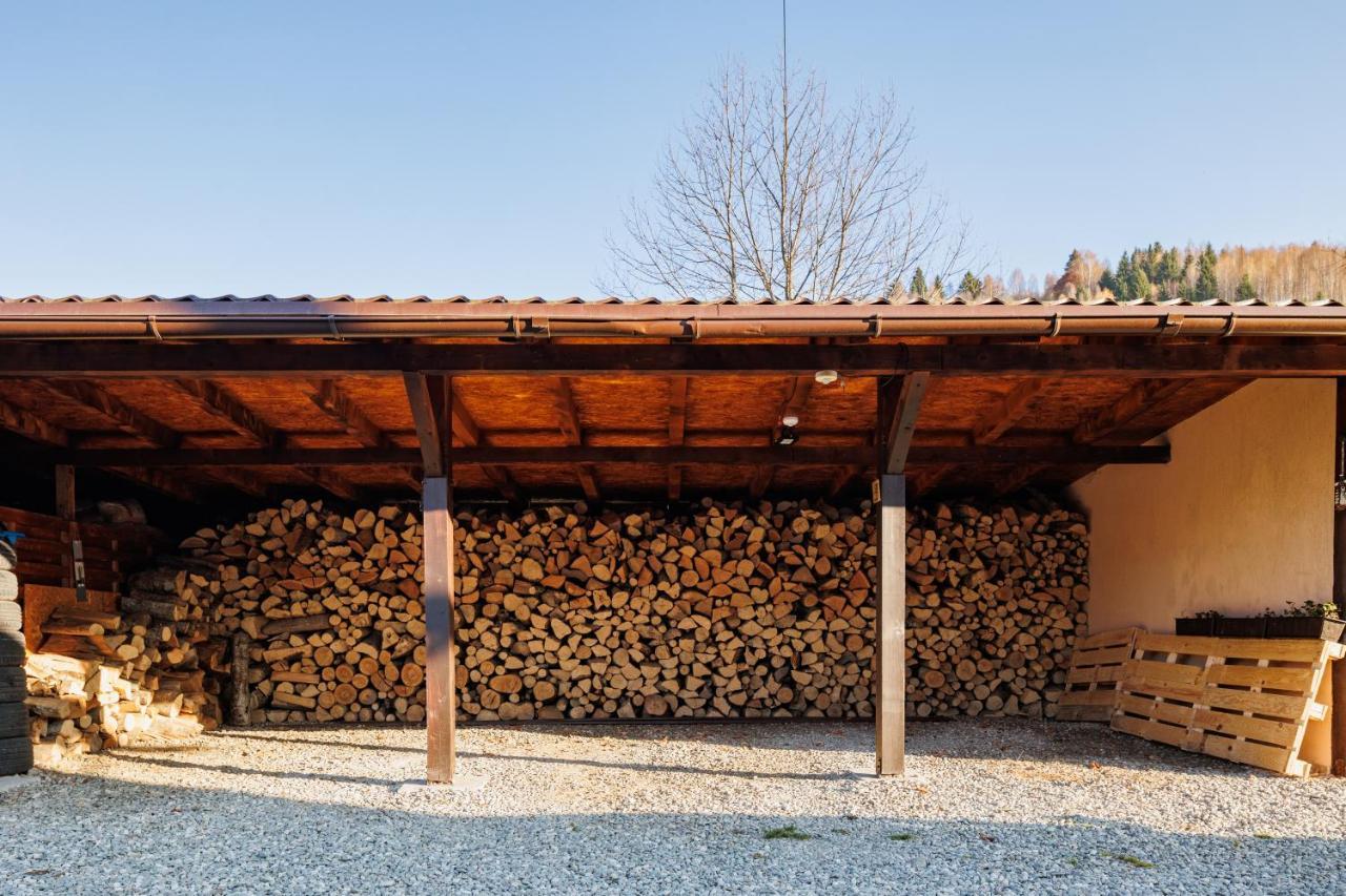Casa Cu Salcami Villa Moieciu de Jos Luaran gambar